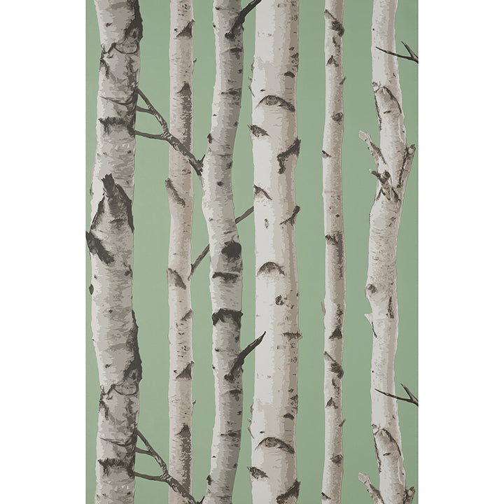 chester-sage-birch-trees-wallpaper-york-wallcoverings-fd43291 - York Wallcoverings Wallpaper