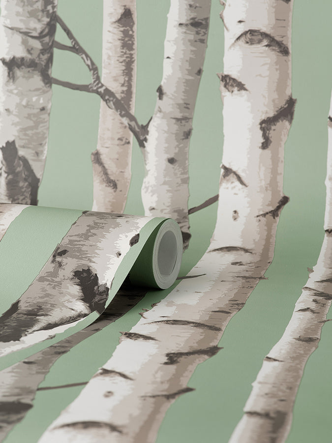 chester-sage-birch-trees-wallpaper-york-wallcoverings-fd43291 - York Wallcoverings Wallpaper