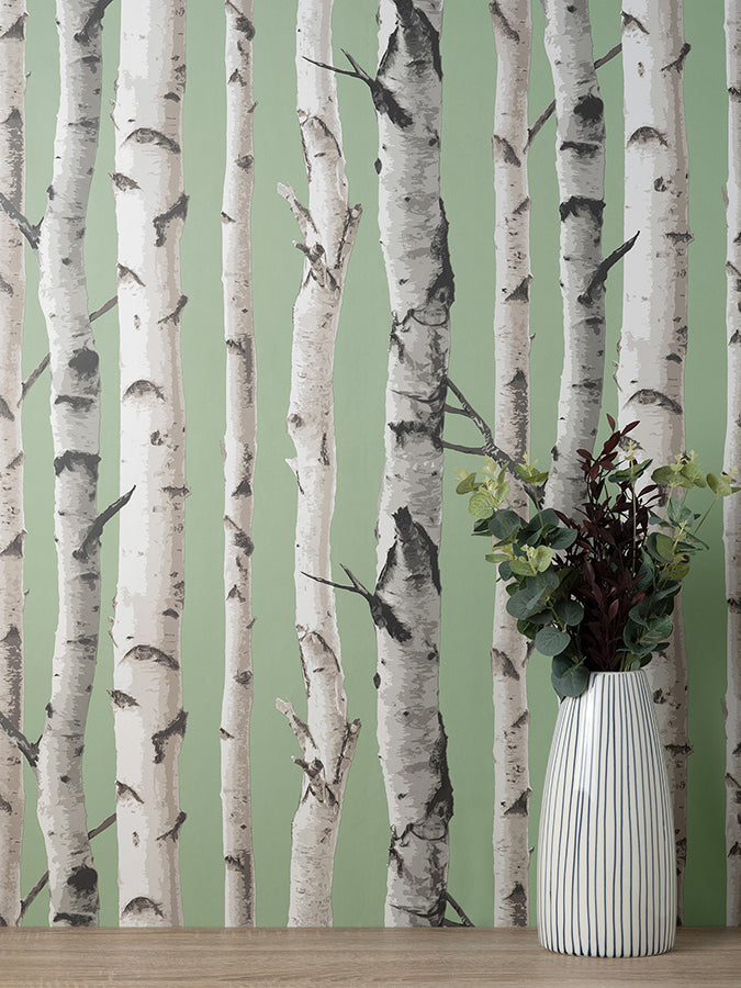 chester-sage-birch-trees-wallpaper-york-wallcoverings-fd43291 - York Wallcoverings Wallpaper