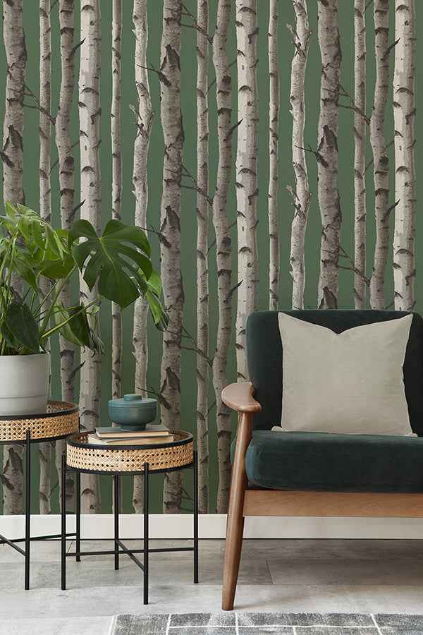 Chester Dark Green Birch Trees Wallpaper - York Wallcoverings - FD43292 - York Wallcoverings Wallpaper