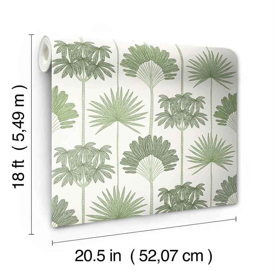 Kentia Green Peel & Stick Wallpaper - York Wallcoverings - NUS6188 - York Wallcoverings Wallpaper