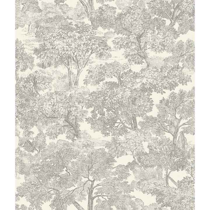 Spinney Grey Toile Wallpaper - York Wallcoverings - 4134-72560