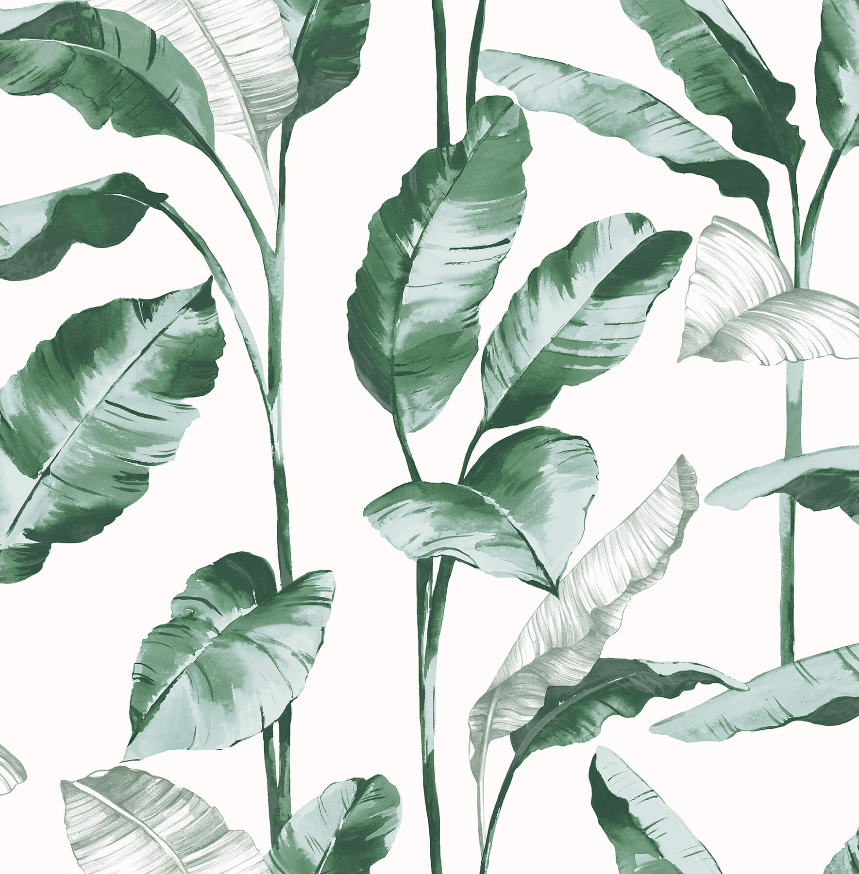 teal-banana-leaf-peel-and-stick-wallpaper-york-wallcoverings-nus4904