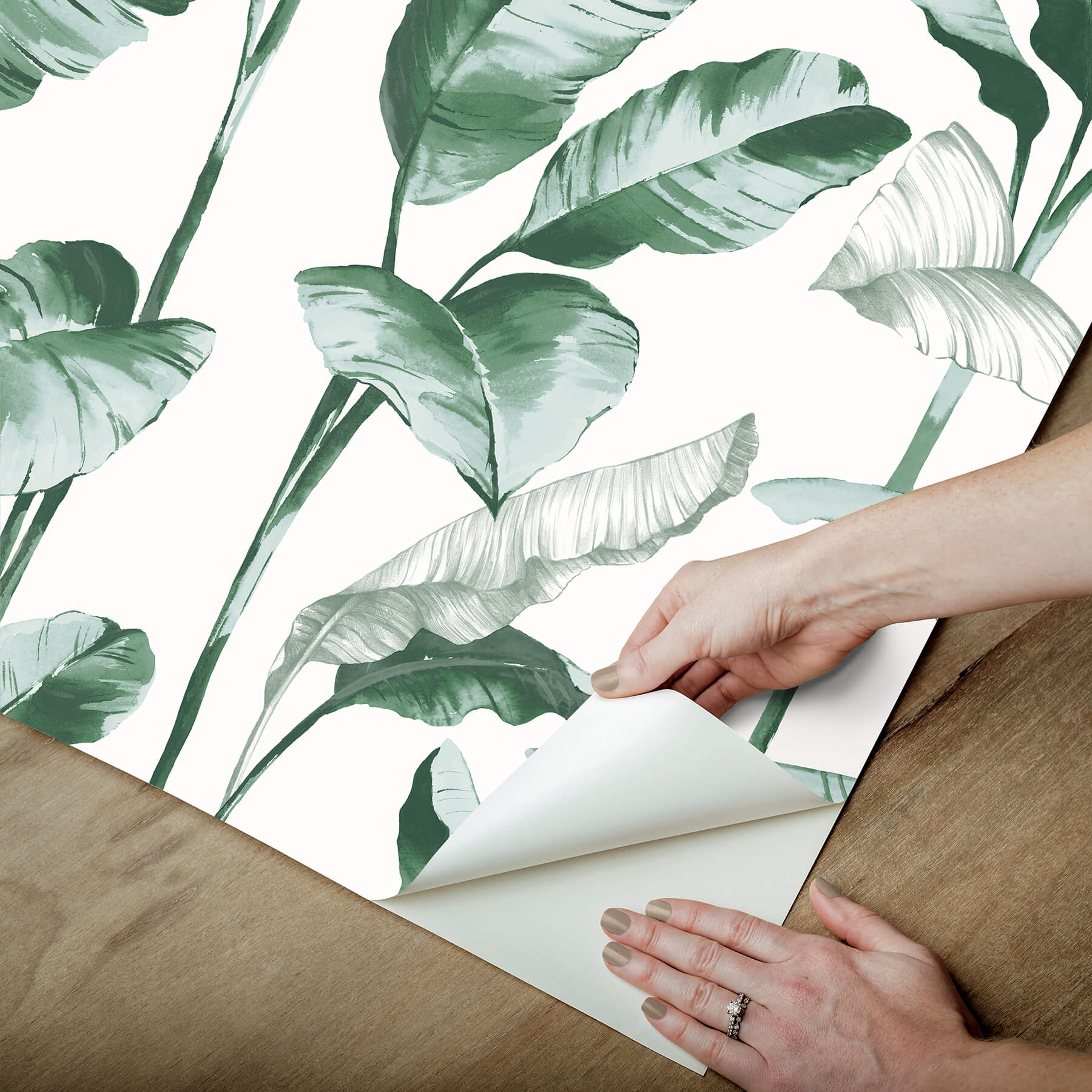 teal-banana-leaf-peel-and-stick-wallpaper-york-wallcoverings-nus4904 - York Wallcoverings Wallpaper