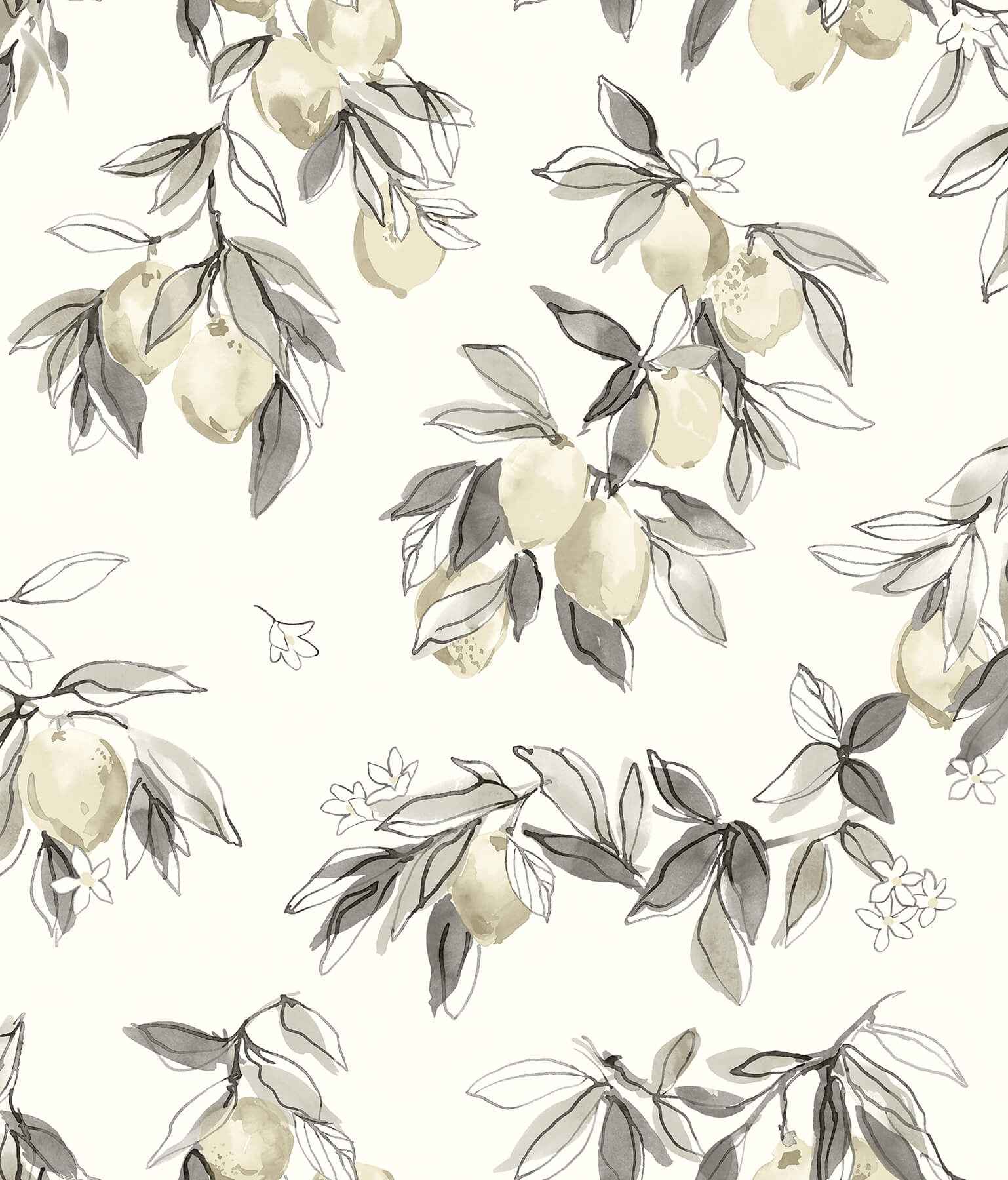 Lemonade Grey Citrus Wallpaper - York Wallcoverings - 4134-72507