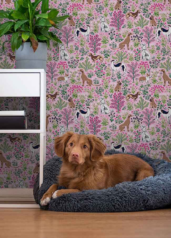 Must Love Dogs Pink Peel and Stick Wallpaper - York Wallcoverings - PFS6379 - York Wallcoverings Wallpaper