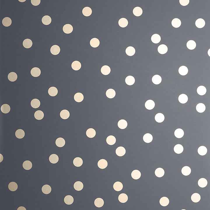 Priscella Charcoal Polka Dot Wallpaper - York Wallcoverings - AH685001