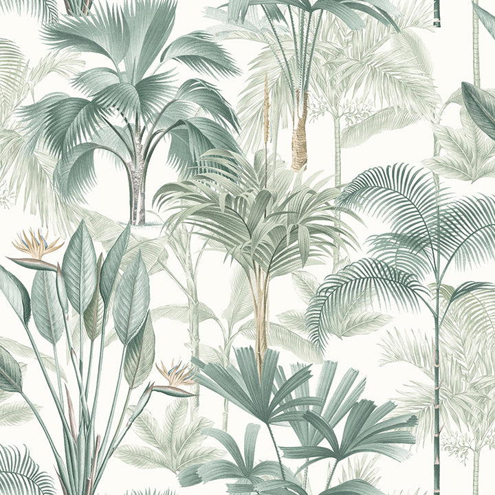 Freda Green Palm Trees Wallpaper - York Wallcoverings - AH922908