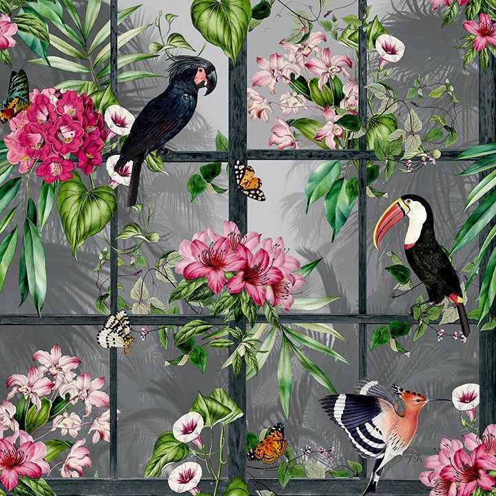 Dorothea Multicolor Tropical Birds Wallpaper - York Wallcoverings - AH924408