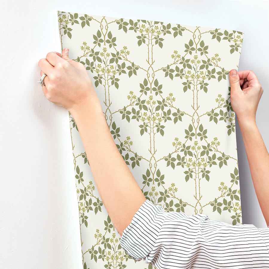 Blackberry Chartreuse Vine Trellis Wallpaper - York Wallcoverings - 4171-82053 - York Wallcoverings Wallpaper