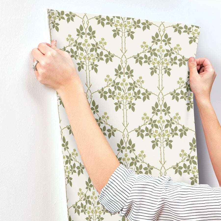 blackberry-chartreuse-vine-trellis-wallpaper-york-wallcoverings-4171-82053