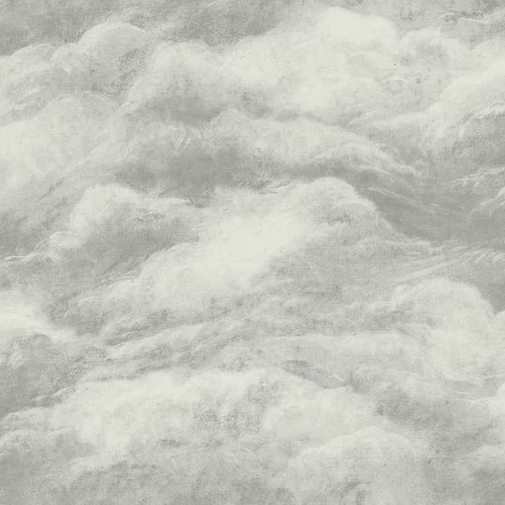 Nimbostratus Pewter Cloud Wallpaper - York Wallcoverings - BG5705