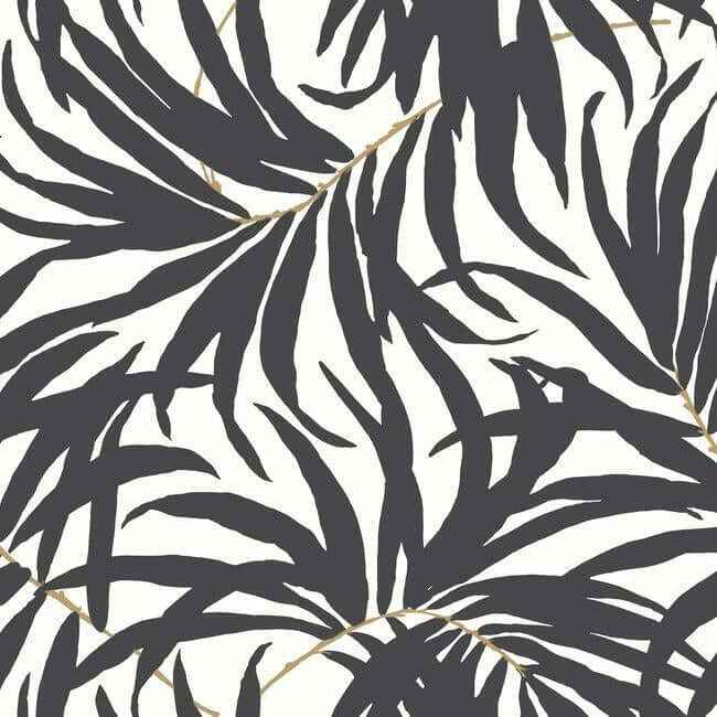 Bali Leaves Black Peel & Stick Wallpaper - York Wallcoverings - PSW1029RL - York Wallcoverings Wallpaper