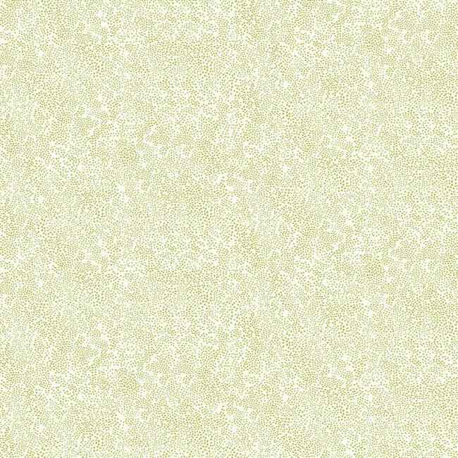Champagne Dots Gold & White Wallpaper - York Wallcoverings - RI5112 - York Wallcoverings Wallpaper