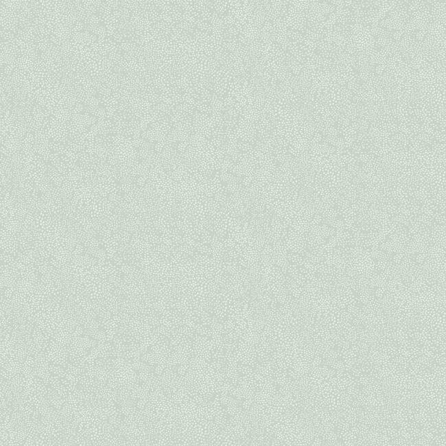 champagne-dots-wallpaper-mineral-york-wallcoverings-ri5114 - York Wallcoverings Wallpaper
