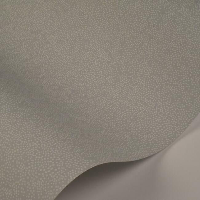 champagne-dots-wallpaper-mineral-york-wallcoverings-ri5114 - York Wallcoverings Wallpaper