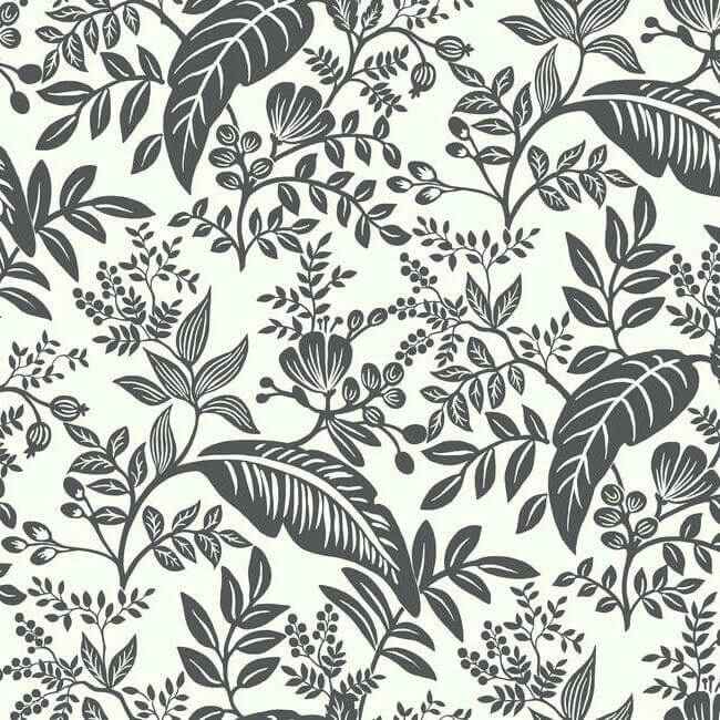 Canopy Black & White Wallpaper - York Wallcoverings - RI5136