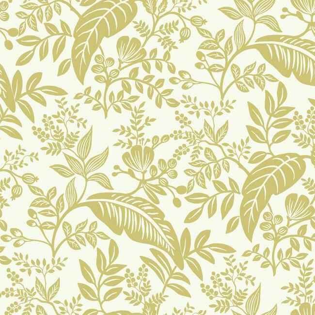 Canopy Gold & White Wallpaper - York Wallcoverings - RI5138