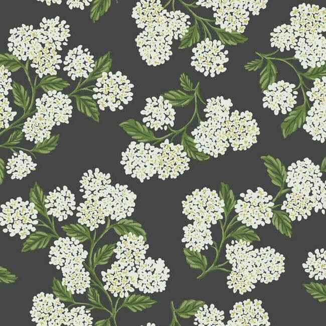 Hydrangea Black & White Wallpaper - York Wallcoverings - RI5146