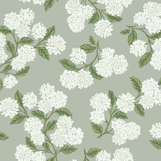 hydrangea-wallpaper-grey-york-wallcoverings-ri5144