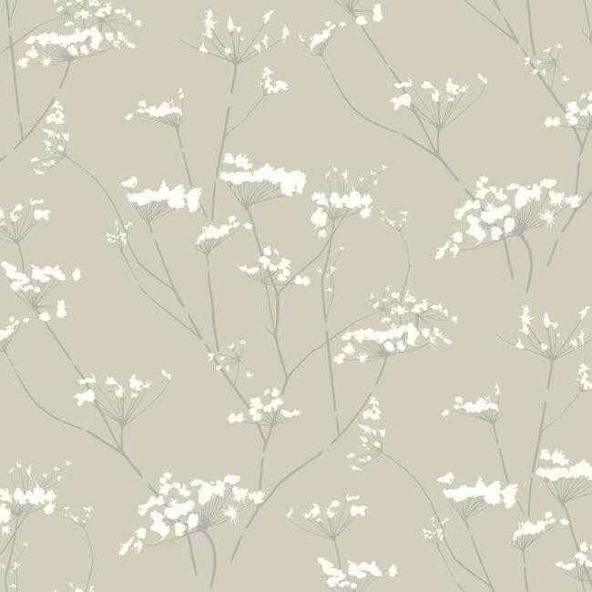 Enchanted Tan Wallpaper - York Wallcoverings - NA0599 - York Wallcoverings Wallpaper