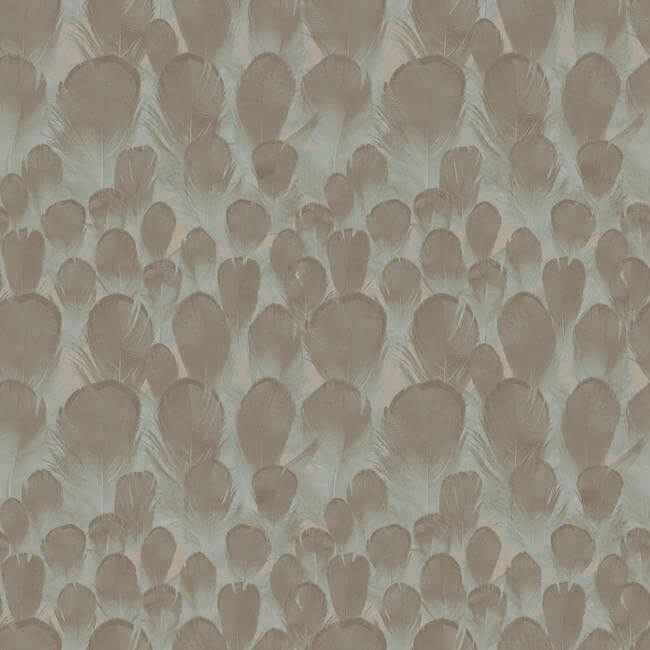 Feathers Brown & Turquoise Wallpaper - York Wallcoverings - Y6230104 - York Wallcoverings Wallpaper