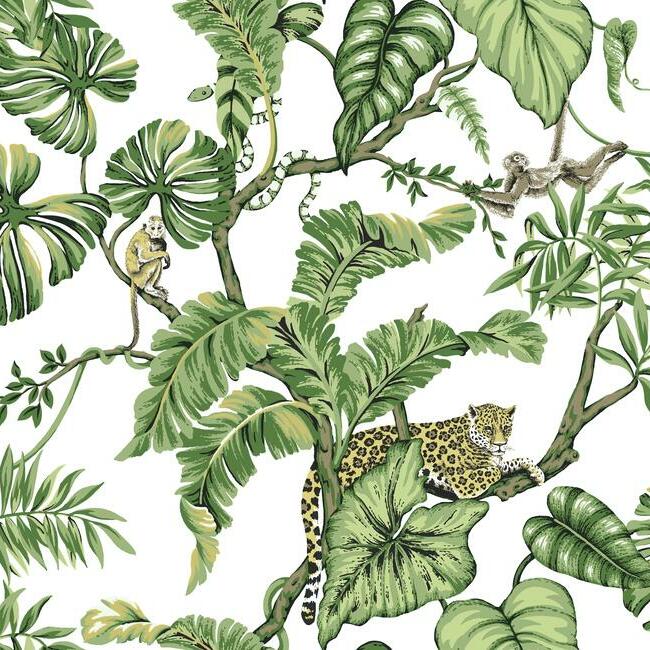 jungle-cat-wallpaper-white-york-wallcoverings-ho2145 - York Wallcoverings Wallpaper