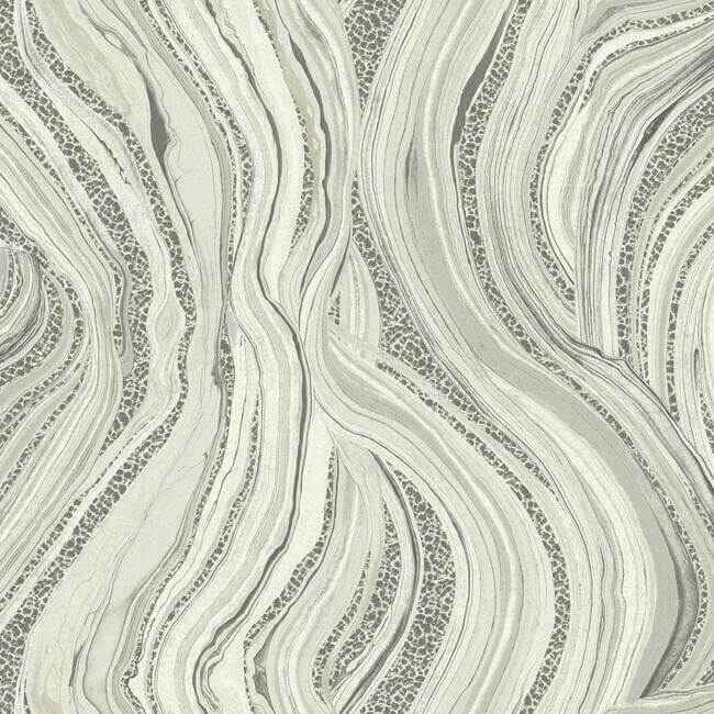 Streaming Cheetah Grey Wallpaper - York Wallcoverings - HO2172