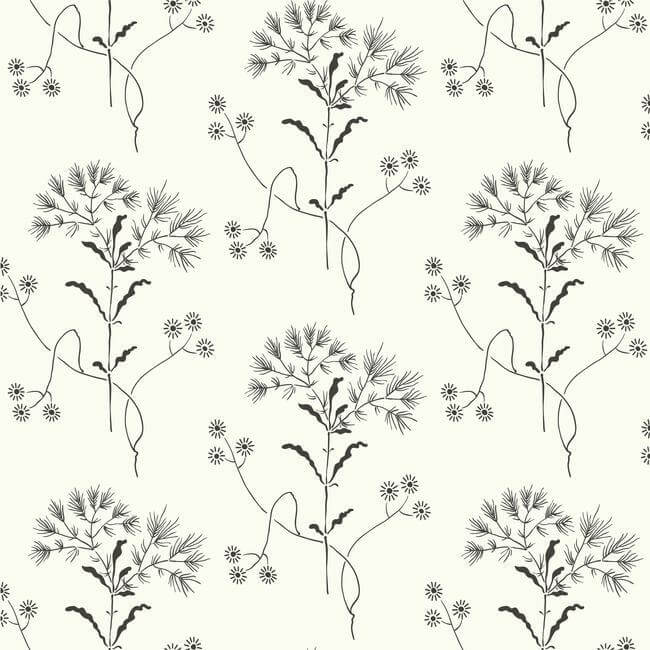 wildflower-black-white-wallpaper-york-wallcoverings-me1515