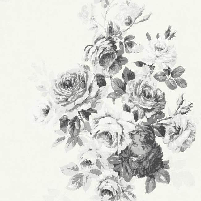 tea-rose-black-white-wallpaper-york-wallcoverings-me1534