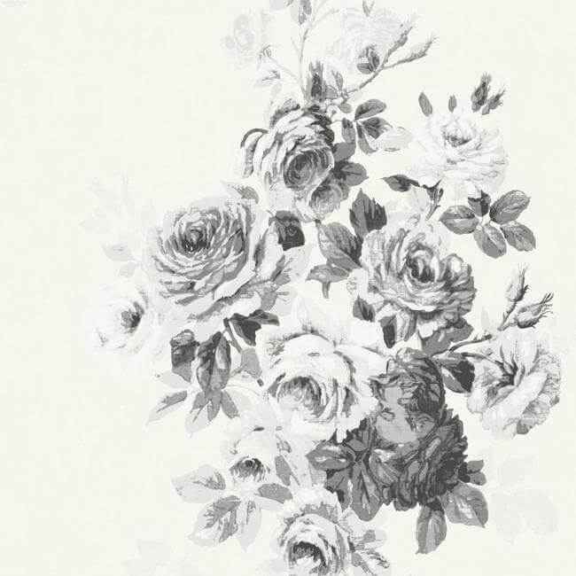 Tea Rose Black & White Wallpaper - York Wallcoverings - ME1534 - York Wallcoverings Wallpaper
