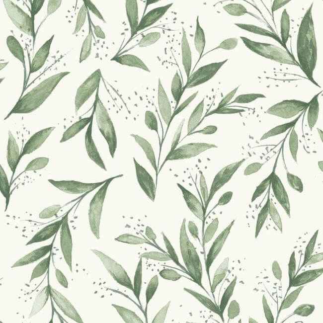 Olive Branch Olive Grove Wallpaper - York Wallcoverings - ME1535 - York Wallcoverings Wallpaper
