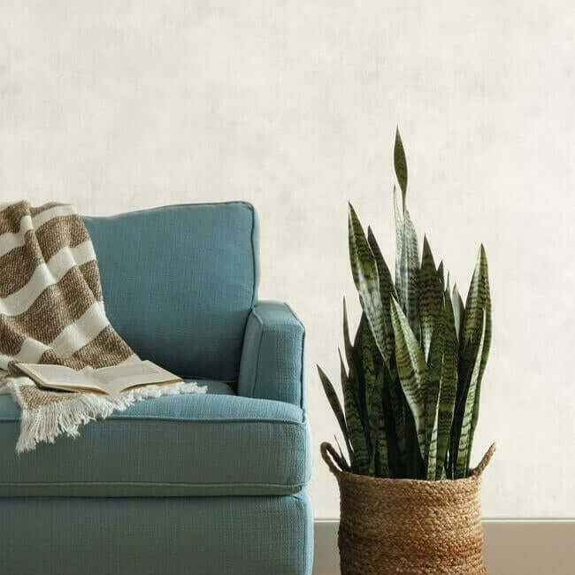 Blanc De Blanc White Wallpaper - York Wallcoverings - ME1545 - York Wallcoverings Wallpaper