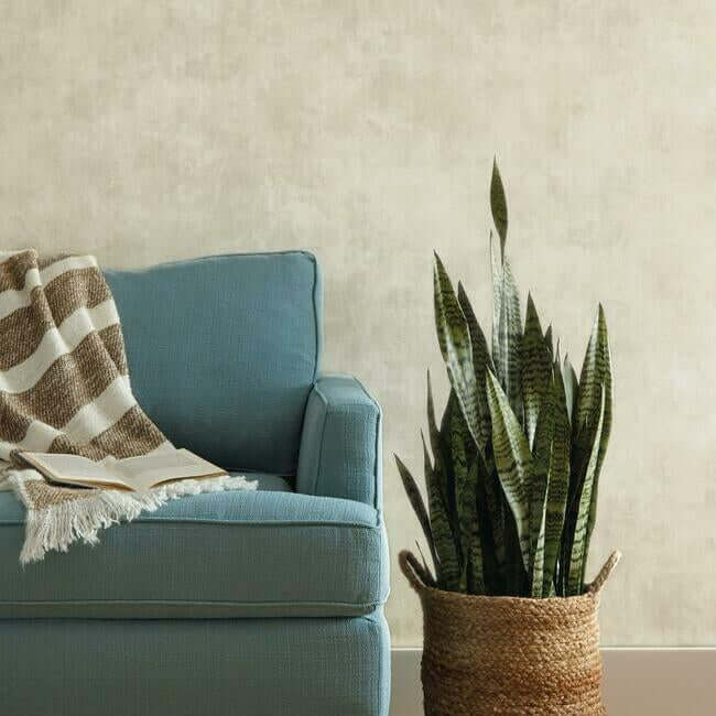 plaster-finish-grey-wallpaper-york-wallcoverings-me1547 - York Wallpaper Wallpaper