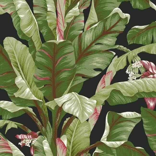 Banana Leaf Black & Red Wallpaper - York Wallcoverings - AT7071