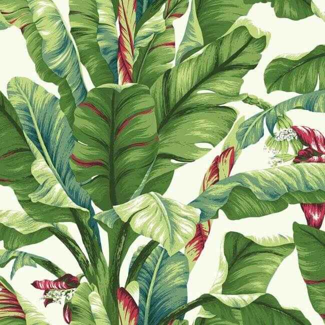 Banana Leaf Aqua & Red Wallpaper - York Wallcoverings - AT7068