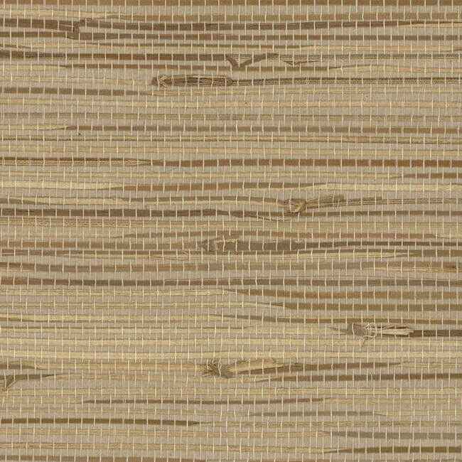 River Grass Wallpaper Neutral Beige - York Wallcoverings - VG4440 - York Wallcoverings Wallpaper
