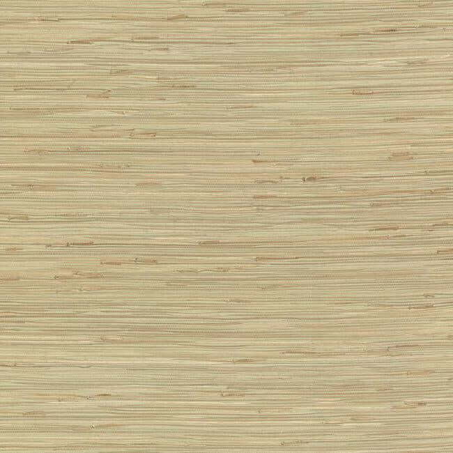 river-grass-green-wallpaper-york-wallcoverings-nz0780