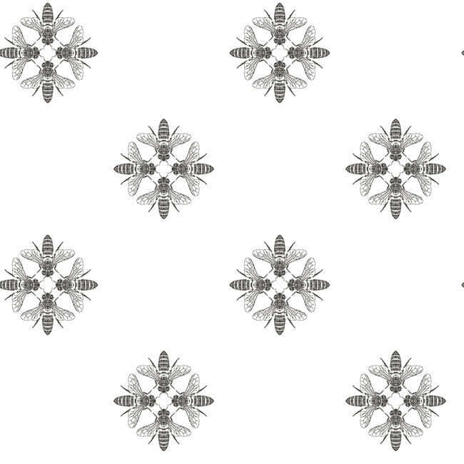 honey-bee-black-white-wallpaper-york-wallcoverings-on1643 - York Wallcoverings Wallpaper