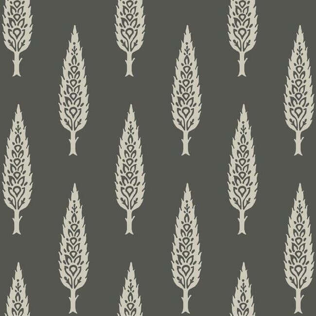 juniper-tree-black-taupe-wallpaper-york-wallcoverings-ss2607 - York Wallcoverings Wallpaper