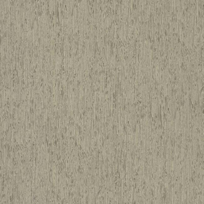 rugged-bark-grey-wallpaper-york-wallcoverings-fh4093 - York Wallcoverings Wallpaper
