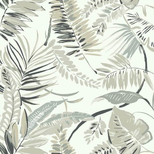 tropical-toss-white-wallpaper-york-wallcoverings-tc2622 - York Wallpaper Wallpaper
