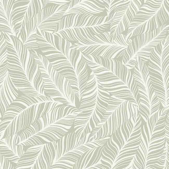 Rainforest Canopy Wallpaper Glint - York Wallcoverings - TC2711 - York Wallcoverings Wallpaper