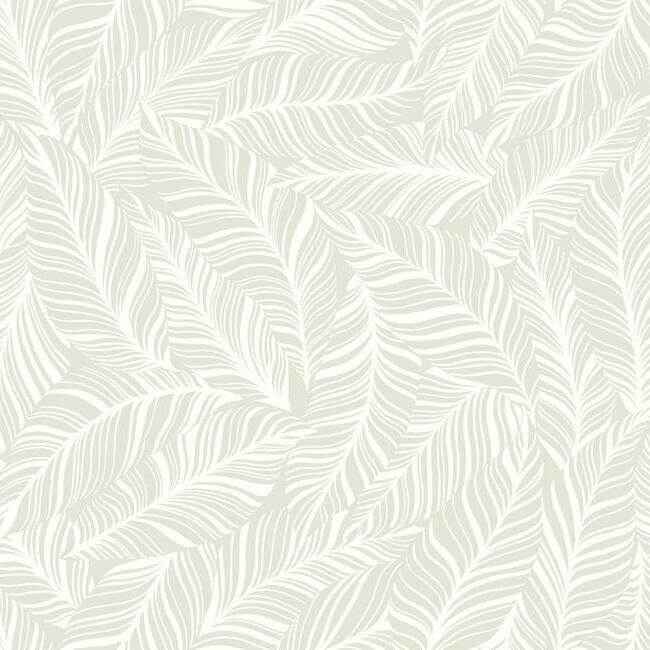 Rainforest Canopy Wallpaper Pearl - York Wallcoverings - TC2714 - York Wallcoverings Wallpaper