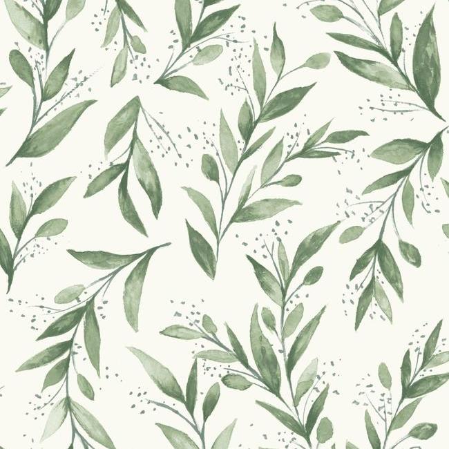 olive-branch-premium-peel-stick-wallpaper-olive-grove-york-wallcoverings-psw1001rl
