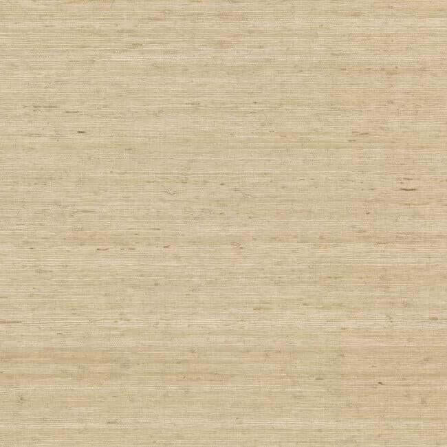 arrowroot-cream-wallpaper-york-wallcoverings-cv4401 - York Wallcoverings Wallpaper