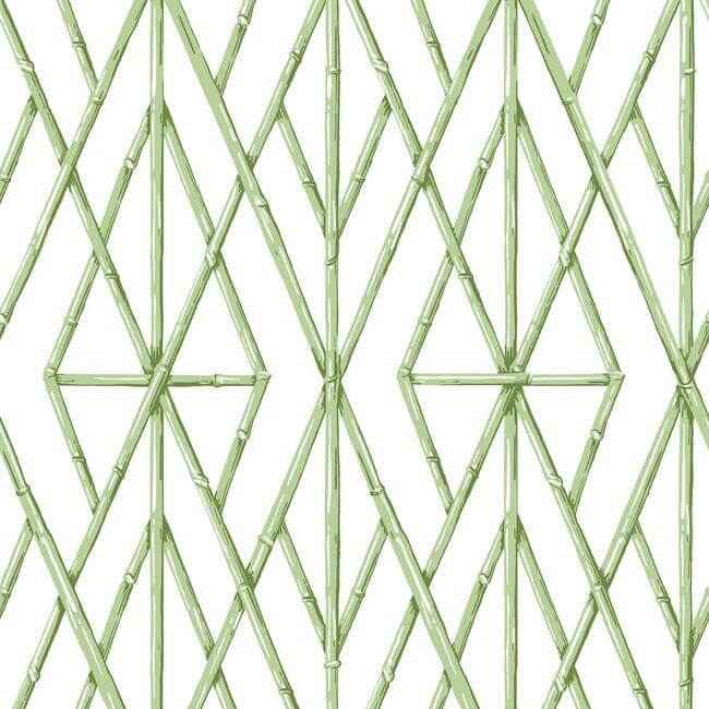 Riviera Bamboo Trellis Green Wallpaper - York Wallcoverings - CV4451