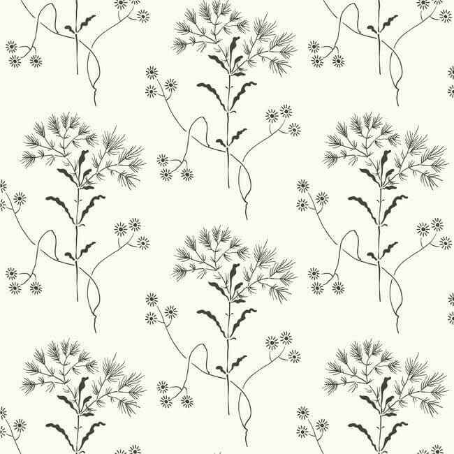 Magnolia Home Wildflower Black & White Peel & Stick Wallpaper - York Wallcoverings - PSW1153RL