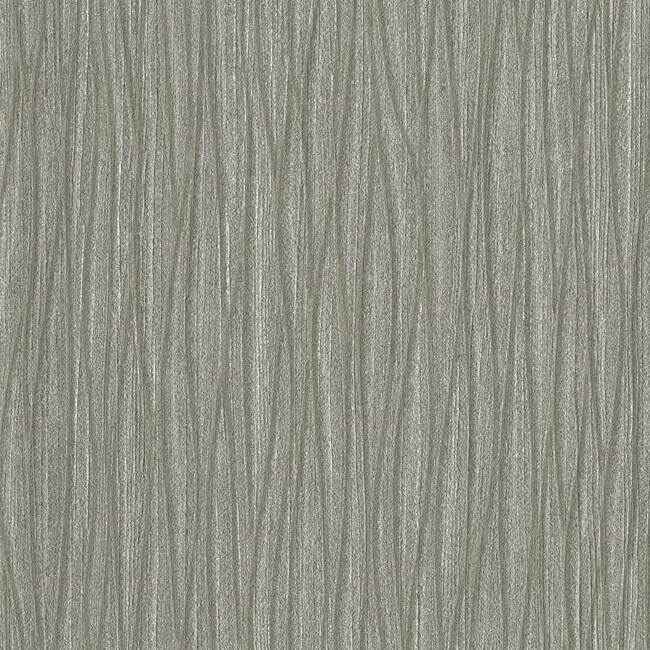 Stephano High Performance Wallpaper Gray - York Wallcoverings - RRD7171N - York Wallcoverings Wallpaper