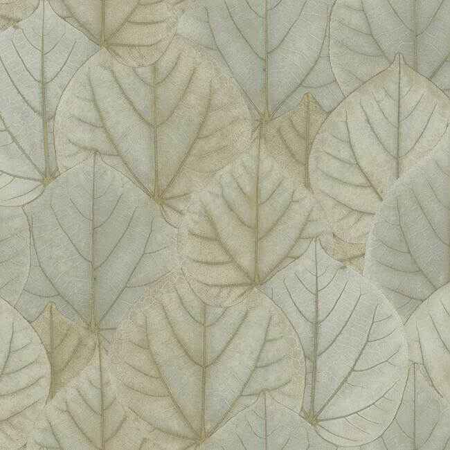 Leaf Concerto Taupe Wallpaper - York Wallcoverings - OS4243 - York Wallcoverings Wallpaper
